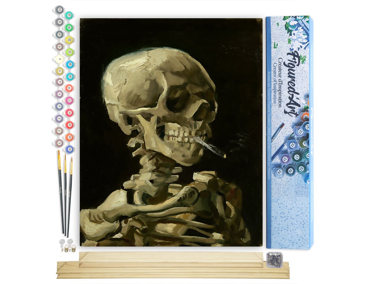 Figured'Art Paint by Numbers Kit for Adults Skull 16"x20" - Craft Art Painting Rolled Canvas with DIY wooden frame